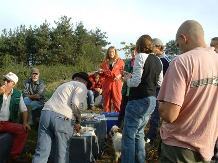 vendange 2004 004.jpg